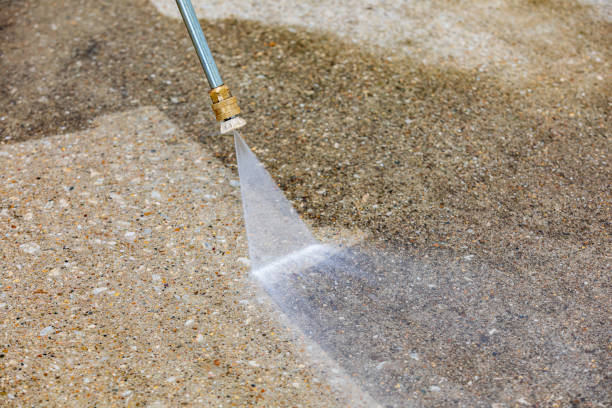Animal Enclosure Cleaning in Brooklyn, NY